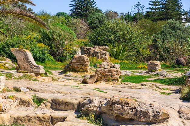 Ruinas de Cartago viejo