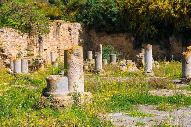 Ruinas de Cartago viejo