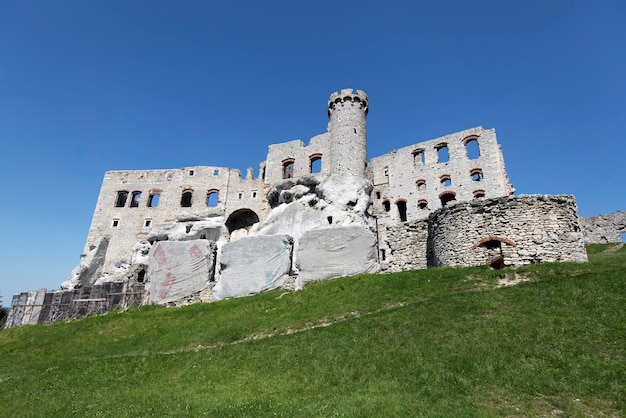 Ruinas del castillo de Ogrodzieniecx9