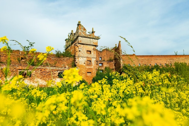 Ruinas del castillo de Stare Selo en la región de Lviv de Ucrania en un día soleado de verano