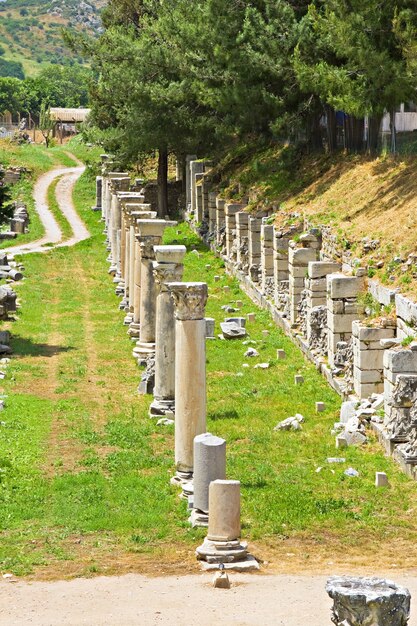 Ruinas de columnas en la antigua ciudad de Éfeso, Turquía