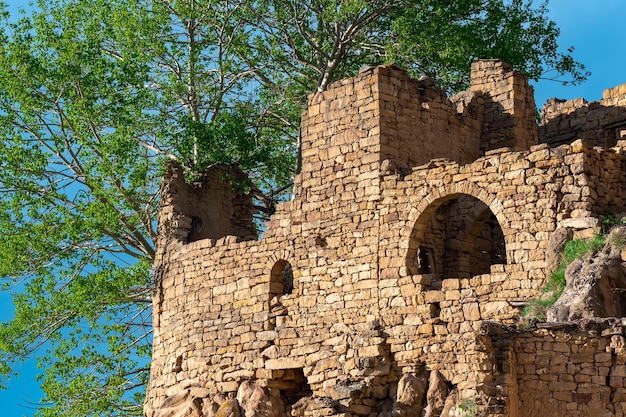 Ruínas de uma antiga casa de pedra sob uma árvore na histórica vila abandonada de gamsutl, no daguestão