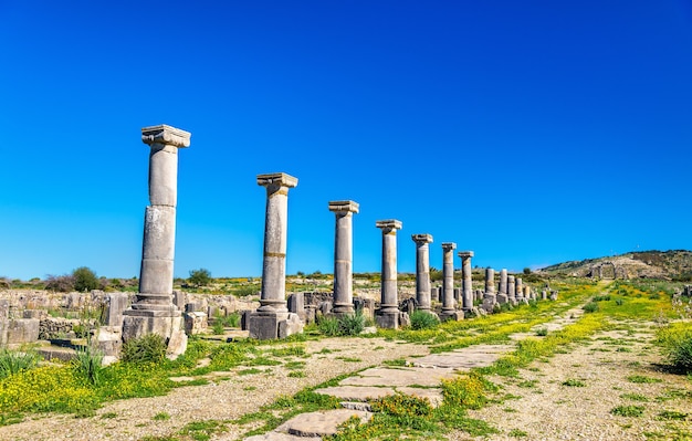 Ruínas de volubilis, uma cidade berbere e romana do marrocos. patrimônio mundial