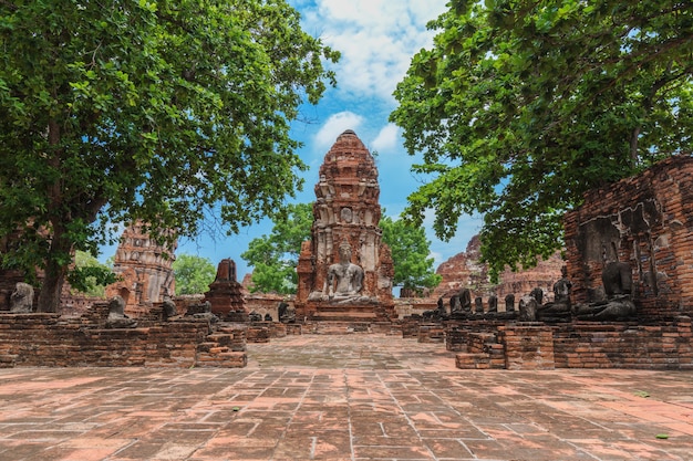 Ruinas de las estatuas de Buda y la pagoda de Wat Mahathat en el parque histórico de Ayutthaya, Tailandia