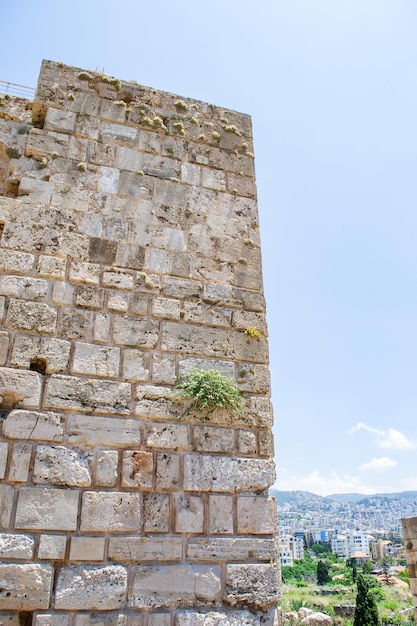 Ruínas fenícias byblos líbano velho castelo costa Mediterrâneo