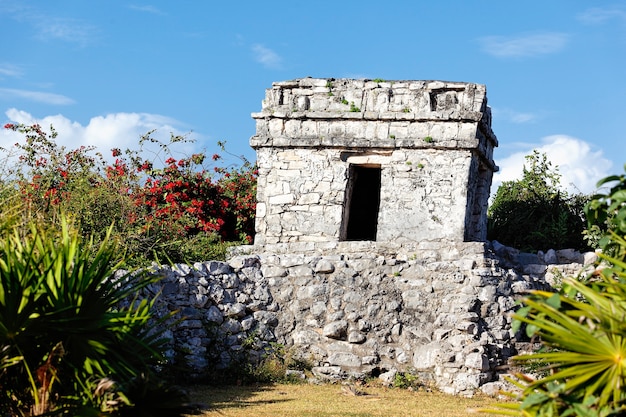 Ruinas de frescos en diciembre, tulum, méxico