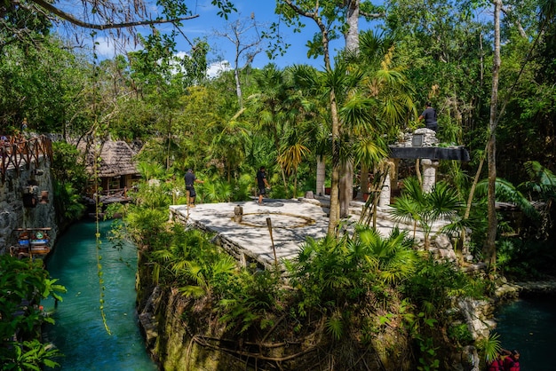 Ruínas maias na floresta tropical da selva Playa del Carmen Riviera Maya Yu atan México