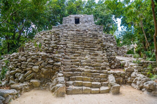 Ruínas maias na sombra das árvores na floresta tropical da selva Playa del Carmen Riviera Maya Yu atan México