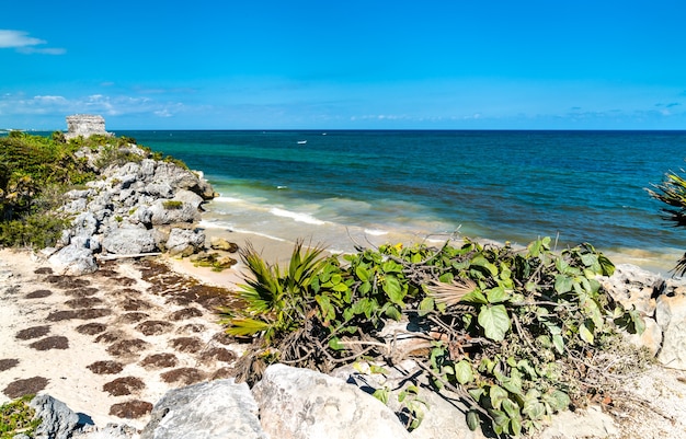 Foto ruinas mayas en el mar caribe en tulum, en el estado de quintana roo de méxico