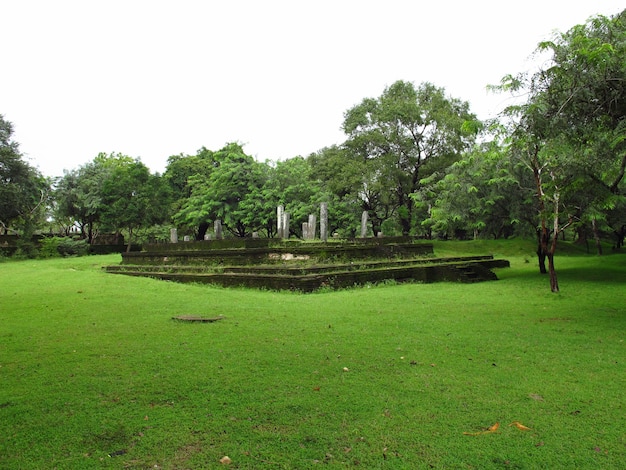 Ruinas en el parque Polonnaruwa, Sri Lanka