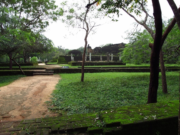 Ruinas en el parque Polonnaruwa, Sri Lanka