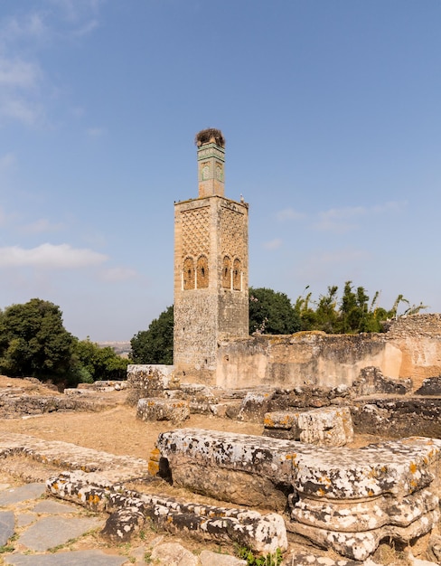 Ruinas romanas de Chellah Marruecos