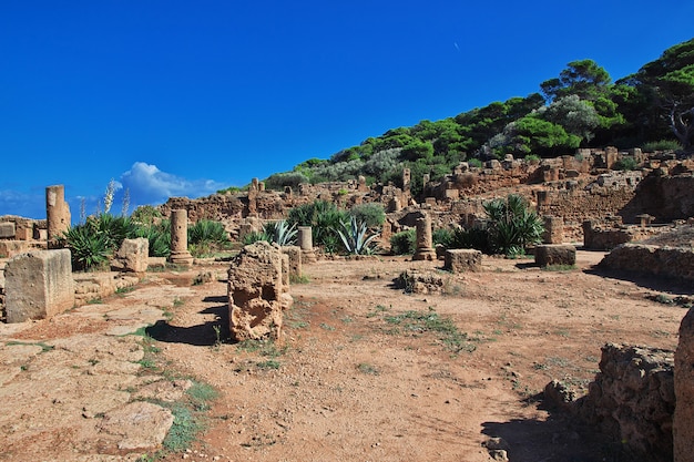Foto ruínas romanas de pedra e areia na argélia