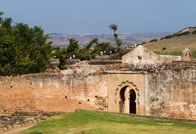 Ruínas romanas em Chellah Marrocos