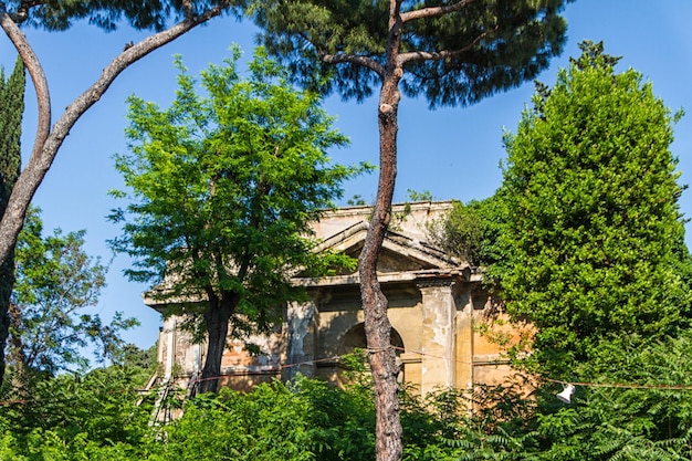 Foto ruinas romanas en el foro de roma