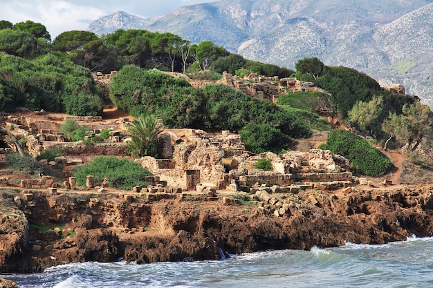 Ruinas romanas de tipaza de piedra y arena en argelia, áfrica