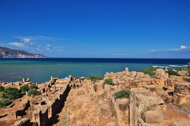 Foto ruinas romanas de tipaza de piedra y arena en argelia, áfrica