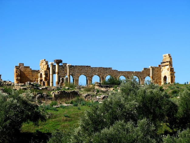 Ruinas romanas en Volubilis Marruecos