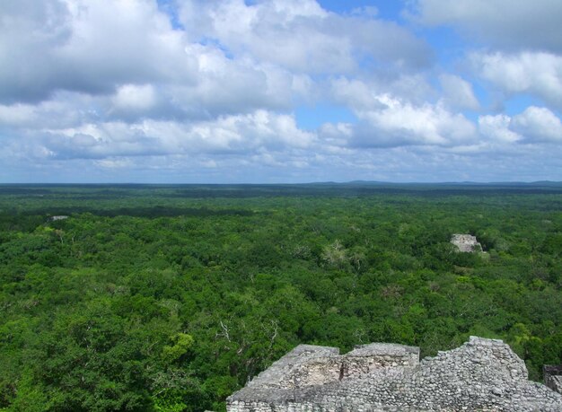 Ruinas del templo en Calakmul