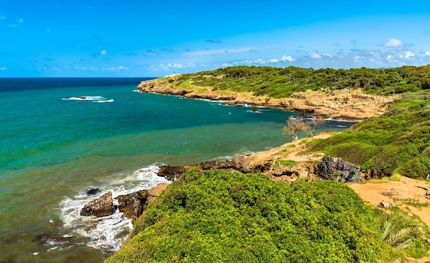 Ruinas de Tipasa una colonia romana en Mauretania Caesariensis Argelia África del Norte