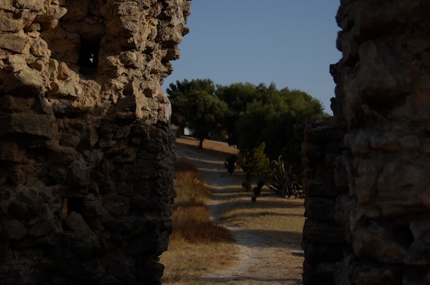 Foto entre las ruinas se ve claridad