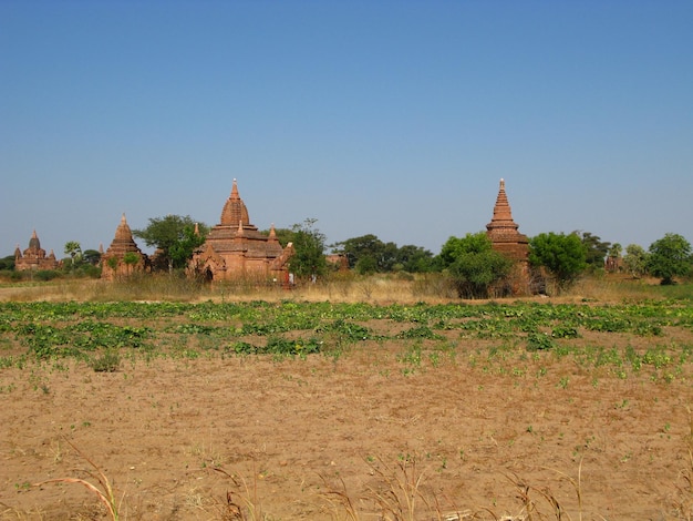 Ruinen der alten Pagode Bagan Myanmar