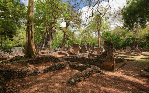 Ruinen der antiken Stadt Gede im afrikanischen Dschungel in der Nähe von Watamu, Kenia.