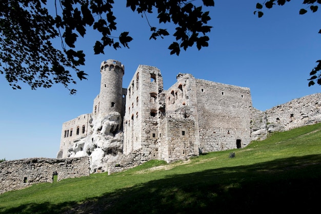 Ruinen der Burg Ogrodzieniec