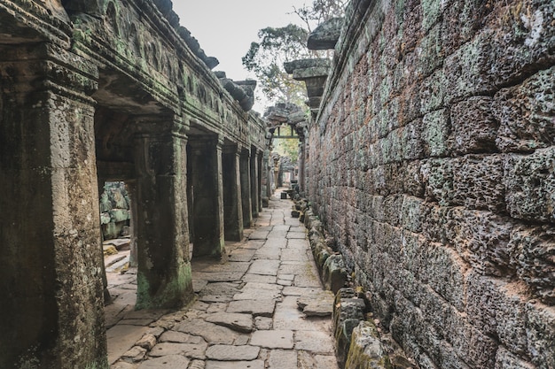 Ruinen des Abandon-Tempels - Angkor Wat