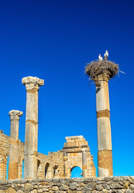 Ruinen einer römischen Basilika in Volubilis, einem Weltkulturerbe in Marokko