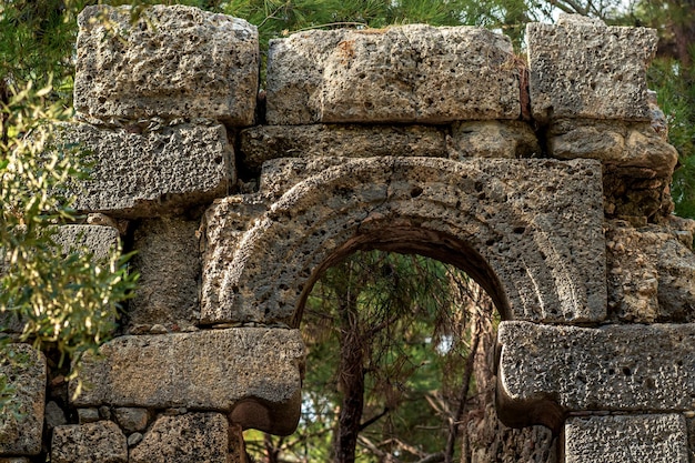 Ruinen eines antiken Gebäudes inmitten des Waldes in der antiken Stadt Phaselis