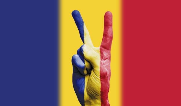 Rumänien-Flagge auf einem Vintage-Lederkoffer
