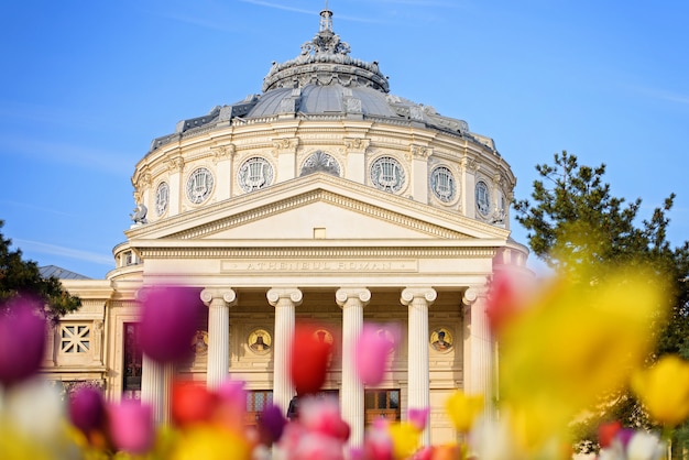 Foto rumänisches athenäum in bukarest