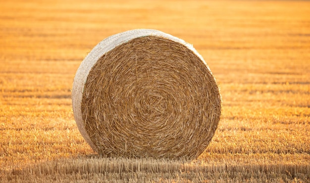 Rundballen auf dem Feld Blick von einer Drohne