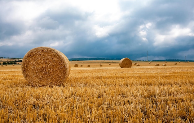 Rundballen Trockenstroh auf landwirtschaftlichen Flächen