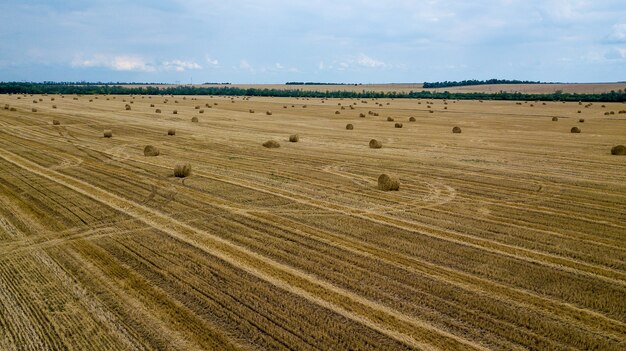 Runde gelbe Heuhaufen werden chaotisch auf dem Feld verstreut