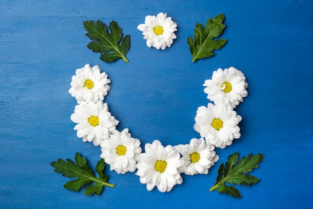 Runder Blumenrahmen auf blauem Hintergrund. Prächtige weiße Chrysanthemen mit Kopierraum