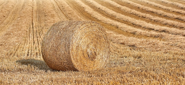 Runder Heuballen aus gerolltem Stroh auf landwirtschaftlicher Weide und Getreidegut nach der Ernte von Weizen, Roggen oder Gerste Landschaftsansicht eines gepflügten Feldes und Kopierraum Hintergrund einer ländlichen Umgebung