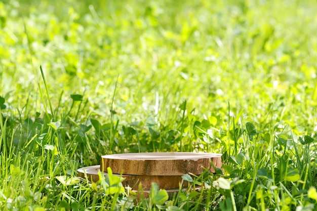 Runder Schnitt eines Baumes ein Podest für ein Objekt ein Podium für Kosmetika Sommersonne