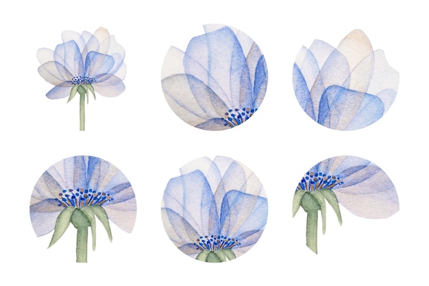 Rundes Aquarell-Aufkleber-Set Elegante Aquarellblume auf einem langen Stiel Rosa und blaue Blume mit transparenten Blütenblättern