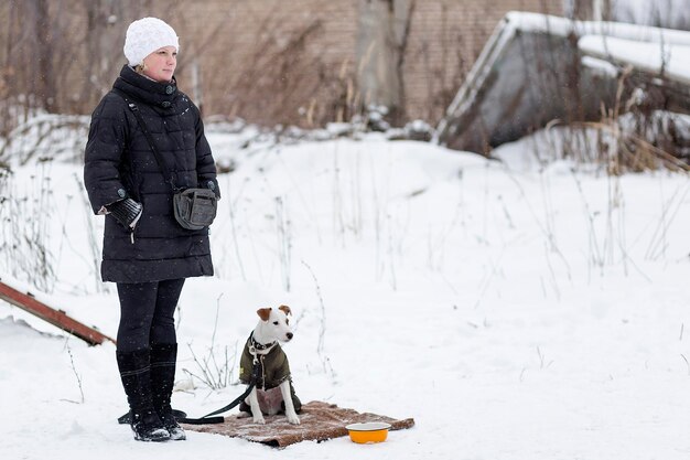 Rusia Ivanovo 24 de diciembre de 2017 un concurso para perros la diversión comienza en inviernoeditorial