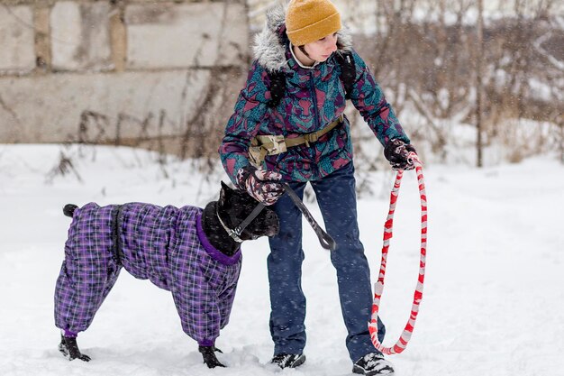 Rússia Ivanovo 24 de dezembro de 2017 a Competição para cães a diversão começa no invernoeditorial