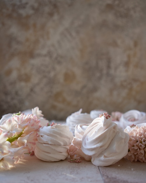 Russische Eibische und Frühlingsblumen auf dunklem Hintergrund