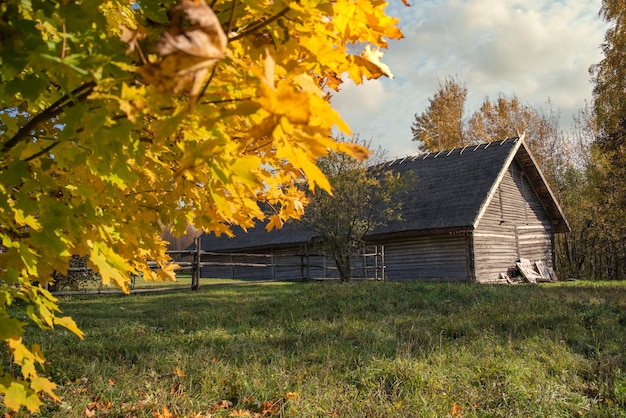 Russisches altes Dorf im Herbst