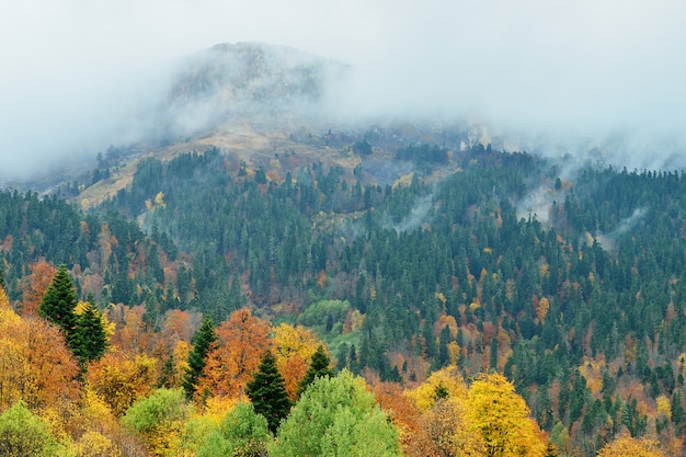 Russland Adygea Berggipfel