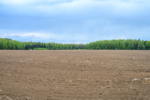 Rustikale flache Sommerlandschaft. gepflügtes Land in einem Feld, ein Mischwald aus Nadel- und Laubbäumen und ein blauer Himmel mit Wolken