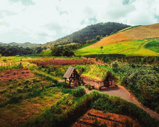 Rustikale Hausberglandschaft mit einer Hütte um endlos schöne Blumen und Feldfrüchte