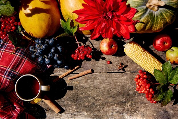 Rustikales gemütliches Stillleben mit Trauben Viburnum Mais Kürbis Melone Äpfel und rote Dahlien Gemütliches Zuhause mit warmer Tasse Tee Thanksgiving Day Konzept Ästhetisches Herbstkonzept