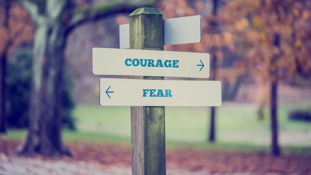 Rustikales Holzschild in einem herbstlichen Park mit den Worten Courage Fear