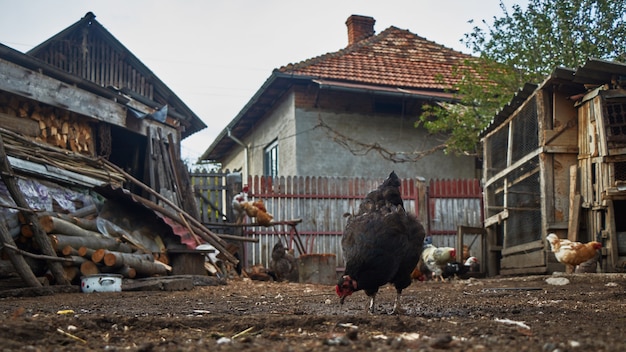 Rustikales Zuhause aus dem Osten